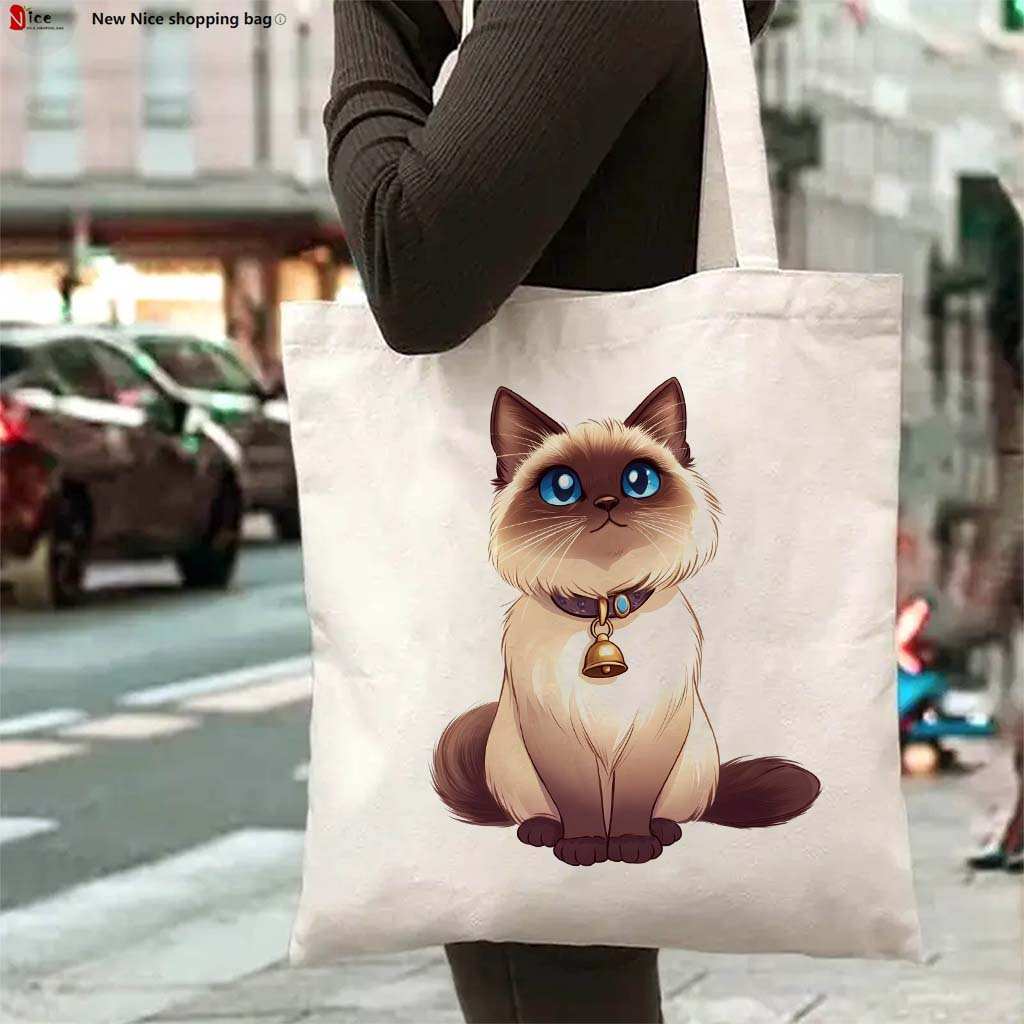 1pc Casual Fashion Tote Bag, C - Vintage Fashion Library recension och pris